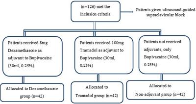 The role of adjuvants in regional anesthesia: the postoperative analgesic effectiveness of dexamethasone vs. tramadol given as adjuvants to bupivacaine for ultrasound-guided supraclavicular block for upper extremity surgery—a prospective cohort study